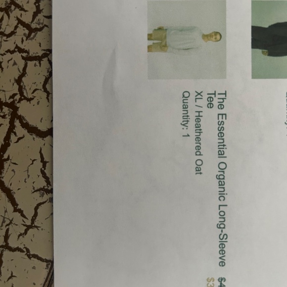 Everlane - Essential Organic Long Sleeve - Picture 3 of 3